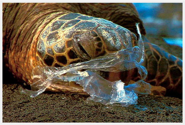 Why Reduce Your Use of Plastic?