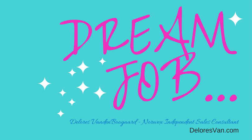 Dream Job… Working with Norwex