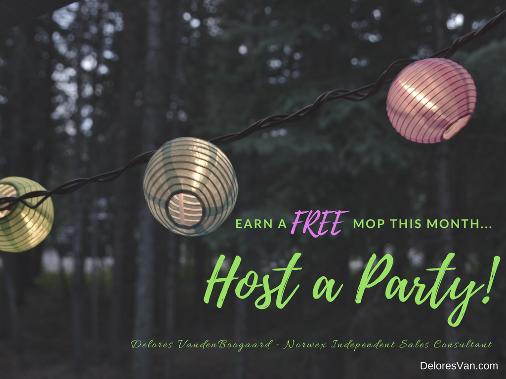 Another FREE Norwex Mop Month for Hosts!