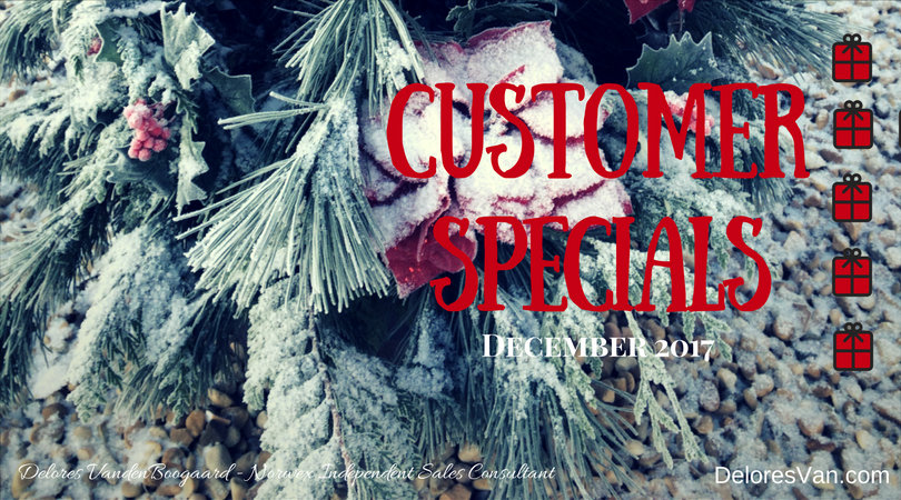 Festive Norwex Customer Specials for December