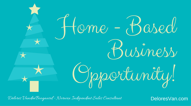 Norwex Independent Sales Consultant… Right Fit for You?