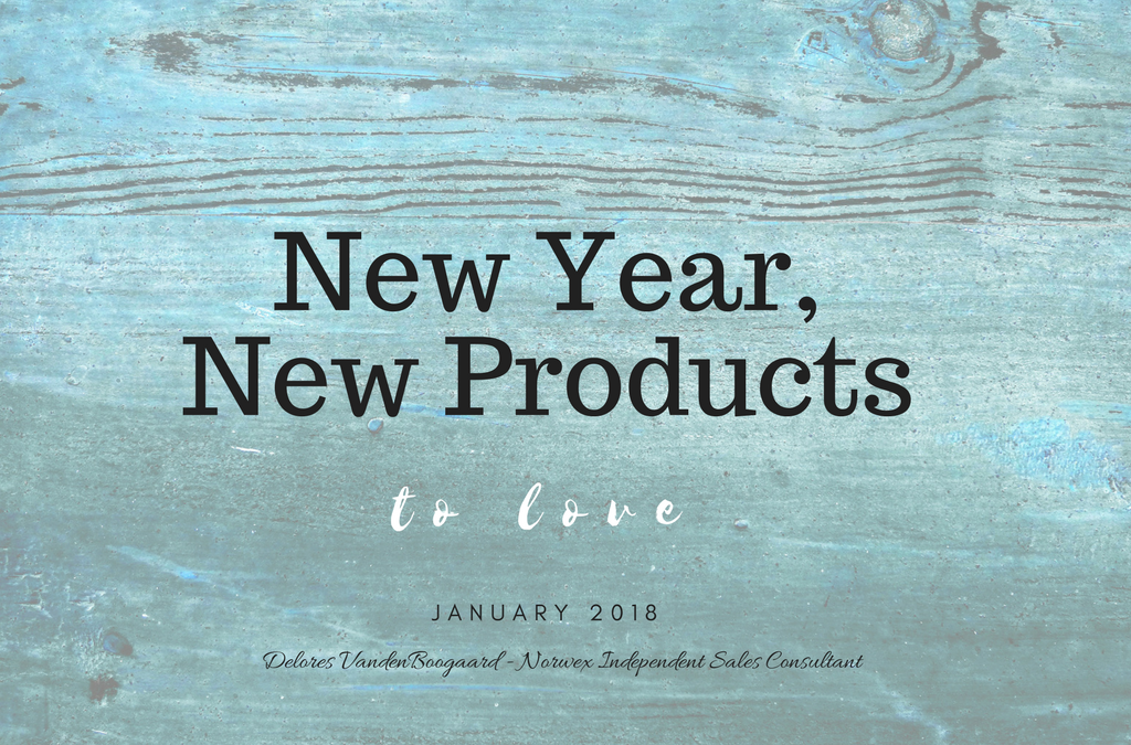 New Year, New Norwex Products 2018