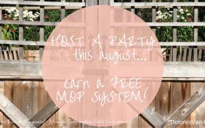 Host a Norwex Party… Earn a Mop System!!
