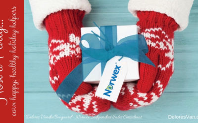 December is Perfect for Hosting a Norwex Party