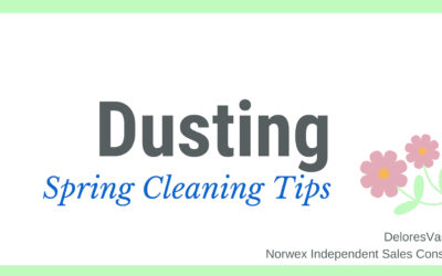 Spring Clean Dusting with Norwex