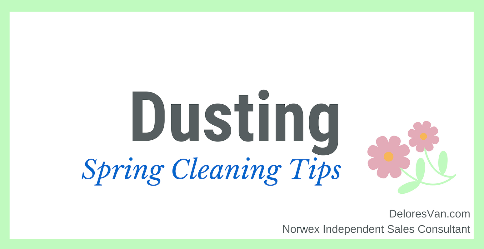 Spring Cleaning Dusting