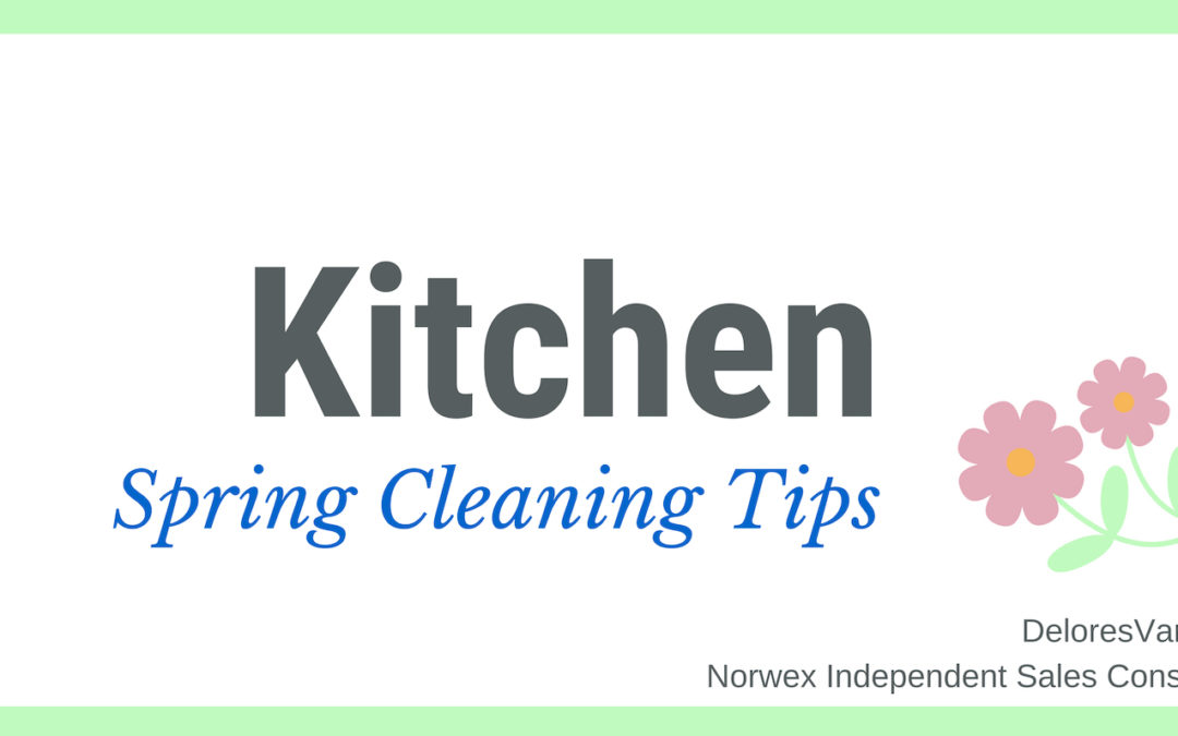 Spring Clean Your Kitchen with Norwex