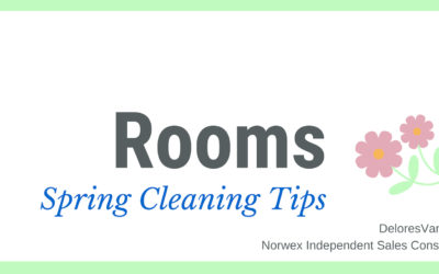 Spring Clean Your Rooms with Norwex