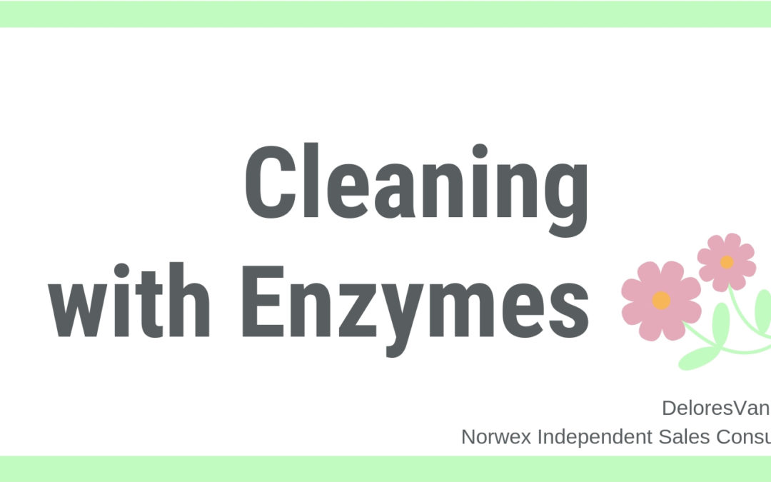 Try Cleaning with Norwex Enzyme-Based Cleaners
