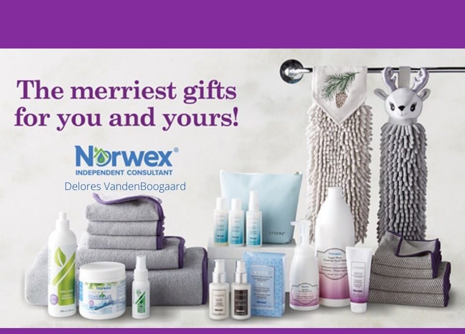 2020 Norwex Holiday Products