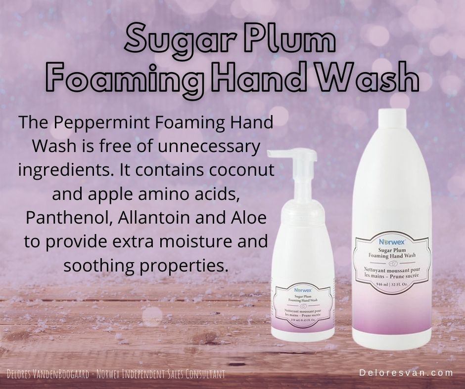 Norwex Sugar Plum Foaming Hand Wash